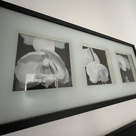 Celia'S Home - Expo Fiera Milano 佩罗 外观 照片